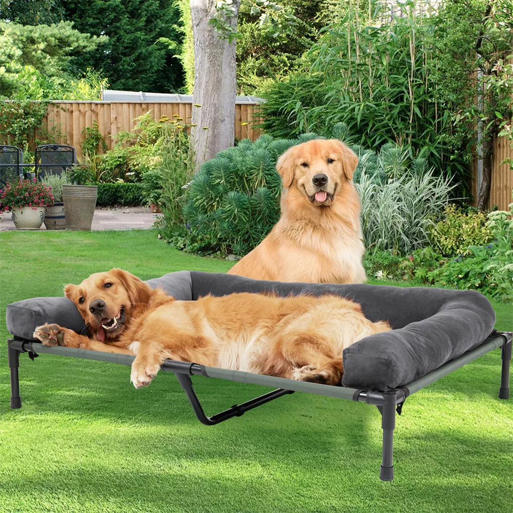 BINGOPAW เตียงสุนัขแบบยกสูง โค - Outdoor Camping Dog Bed บทวิจารณ์และราคา