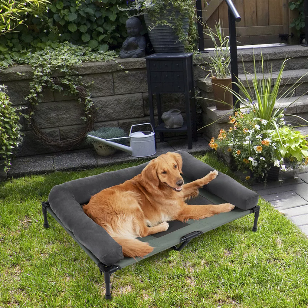 BINGOPAW เตียงสุนัขแบบยกสูง โค - Outdoor Camping Dog Bed บทวิจารณ์และราคา