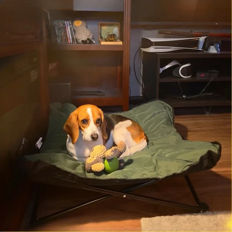 เตียงสัตว์เลี้ยงแบบพับได้สำหรั - Outdoor Camping Dog Bed บทวิจารณ์และราคา