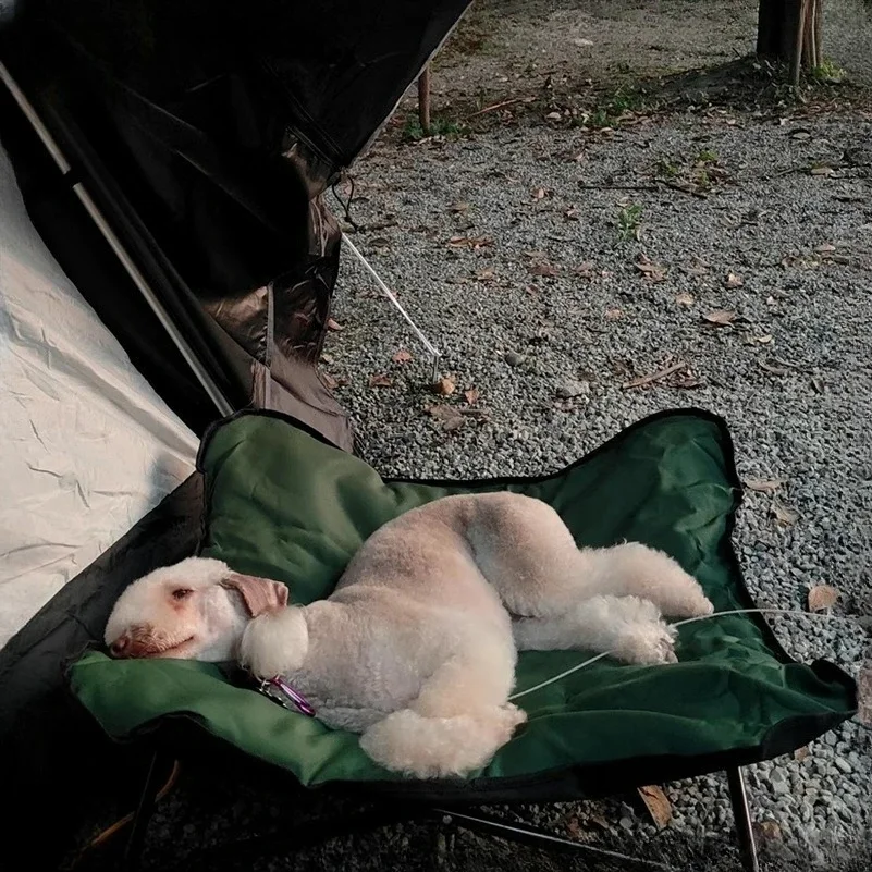 เตียงสัตว์เลี้ยงแบบพับได้สำหรั - Outdoor Camping Dog Bed บทวิจารณ์และราคา
